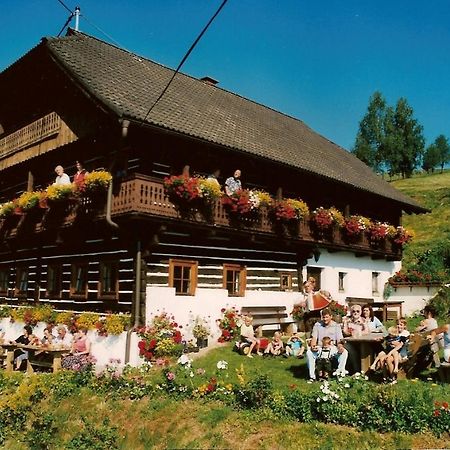 Bauernhof Oberfriessnig Villa ราเดนไทน์ ภายนอก รูปภาพ