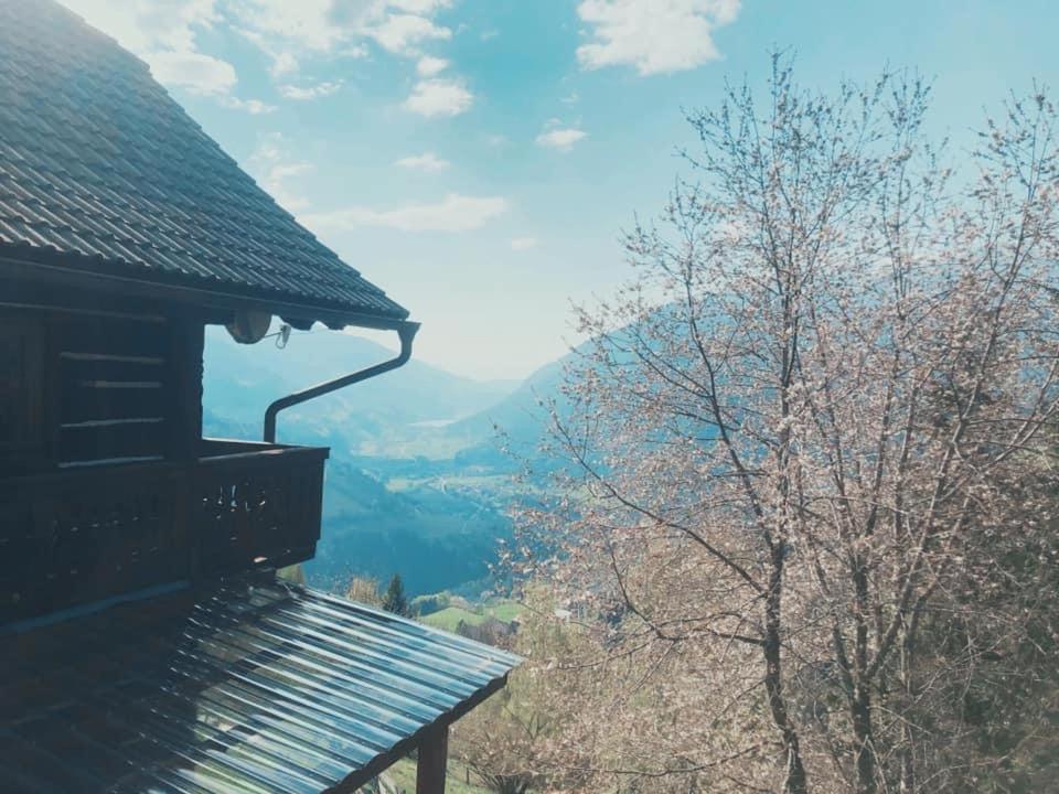 Bauernhof Oberfriessnig Villa ราเดนไทน์ ภายนอก รูปภาพ