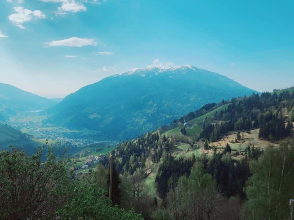 Bauernhof Oberfriessnig Villa ราเดนไทน์ ภายนอก รูปภาพ